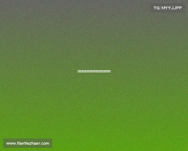 国际赛事管理规程核心内容与实施策略全面指南 国际赛事管理规程核心内容与实施策略全面指南