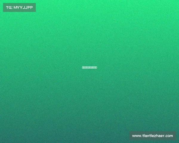 女排每年都有哪些赛事