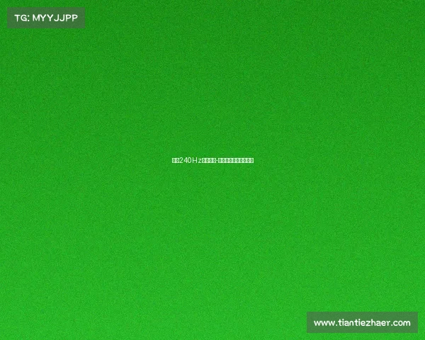 沈阳240Hz电子竞技-沈阳电子竞技学校地址