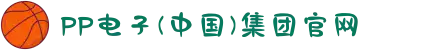 PP电子(中国)集团官网